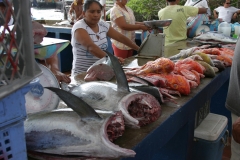 Fischmarkt auf Galapagos (Foto: Patrick Lamp)