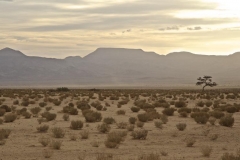 Wüstenlandschaft in Jordanien (Foto: Daniel Kopp)