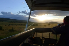 Sonnenuntergang in der Serengetis (Foto: Sabine Holzer)