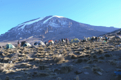 Kilimanjaro (5895m) - Blick von Caranca-Camp 4200m
