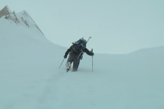 Andy beim Aufstieg zum Lavant-Luggauer Törl (Lienzer Dolomiten). Foto: Andreas Unterkreuter